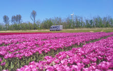 Upload image to the gallery viewer, Aires Camping-Car Europe 10th Edition