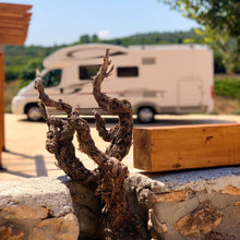 Load image into gallery viewer, España Discovery Digital